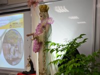 Faculty and Staff Workshops  (3)