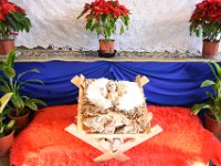New Year Mass 2017 (6)